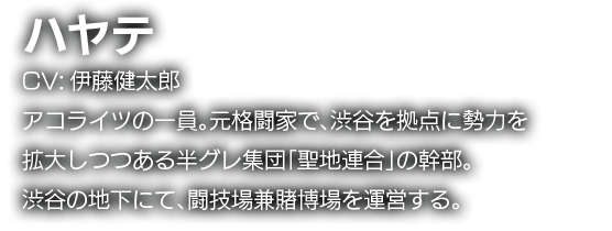 ハヤテ　CV:伊藤健太郎　アコライツの一員。元格闘家で、渋谷を拠点に勢力を拡大しつつある半グレ集団「聖地連合」の幹部。渋谷の地下にて、闘技場兼賭博場を運営する。